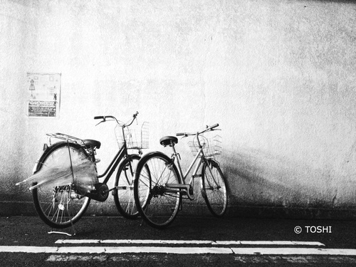 自転車達3写真.jpg